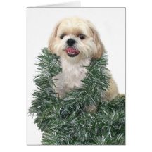 Shih Tzu jul Hälsnings Kort