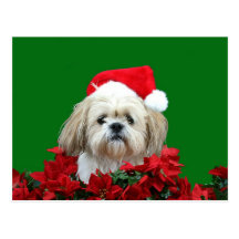 Shih Tzu jul Vykort