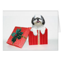 Shih Tzu julgåva Kort