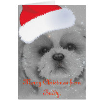 Shih Tzu julkort