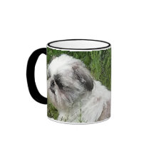 Shih Tzu mugg