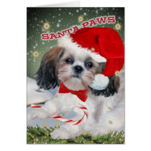 Shih Tzu Santa tafsar julkort