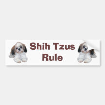 Shih Tzu valpar härskar bildekalet