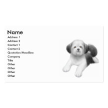 Shih Tzu valpvisitkort