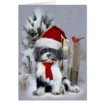 Shih Tzu vinterplats Hälsnings Kort