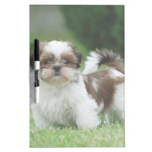 Shih tzuvalp dry erase white board