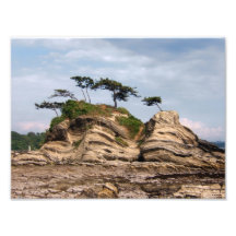 Shiroyama Fotokonst