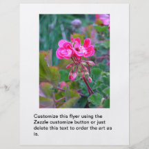 Shock rosa blommar det härliga färgrika trädgårds- custom flyer