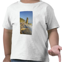 Shoreline och Seastacks, Rubystrand, OS T-shirts