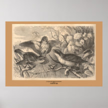 Shriken, Nio-Mord Affisch