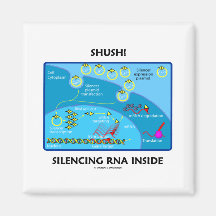 Shush! Tysta RNAinsida (molekylär biologi) Magnet För Kylskåp