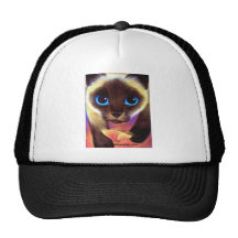 Siamese katthatt kepsar