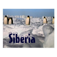 Siberia arktisk vintervykort