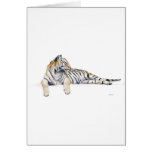 Siberian/Bengal tiger Hälsnings Kort