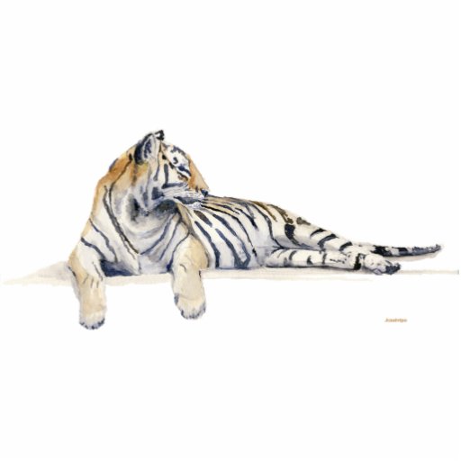 Siberian/Bengal tiger Photo Cutout