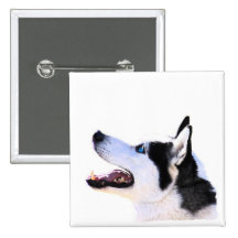 siberian husky knappar