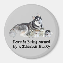 Siberian husky & valpmagnet kylskåps magneter