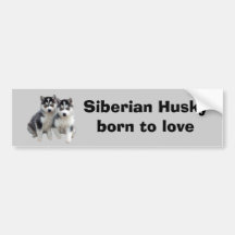 Siberian huskybildekal
