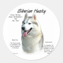 Siberian huskyhistoriedesign klistermärke