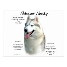 Siberian huskyhistoriedesign vykort