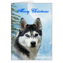 Siberian huskyjulkort