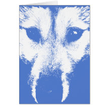 Siberian huskykort/alaskabo Malamutekort