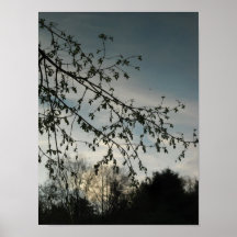 Silhoutted grenar affischer