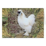 Silkie tuppkort