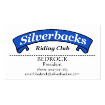SilverBacksvisitkort