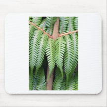 Silverfern Mus Mattor
