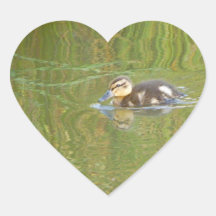 SimningDuckling Hjärtklistermärken