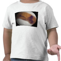 Simulerat beskåda av Mars Tee