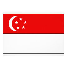Singapore flaggaT-tröja och gåvor Anpassade Tillkännagivande