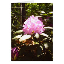 singelRhododendronblom Hälsningskort