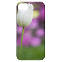 singelvittulpan iPhone 5 fodraler