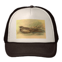 Siphonorhis Americana truckerkeps