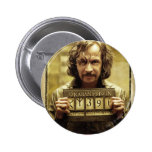 Sirius svart önskad affisch pins