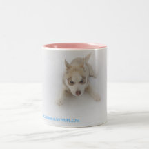 Sitka mugg