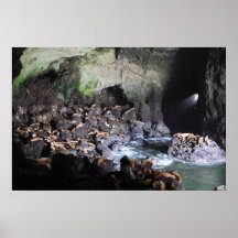 Sjölejon i grottatryck posters