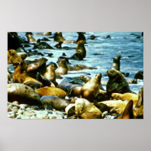 Sjölejon Posters