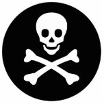 Skalle och Crossbones Photo Sculptures