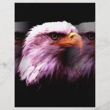 Skallig amerikanörn flyg blad