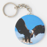 Skallig amerikanörn nyckel ring