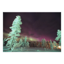 Skandinavien Finland, Lapland, Kakslauttanen, Fotografier