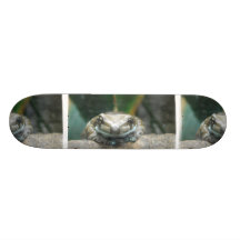 Skateboard för amasonmjölkgroda
