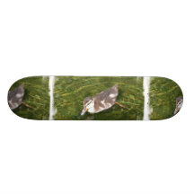 Skateboard för babyankasimning