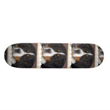 Skateboard för Bernese berghund