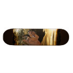 Skateboard för pumapumavild katt