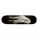Skateboard för vildvitMustang