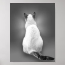 Skeppare Posters